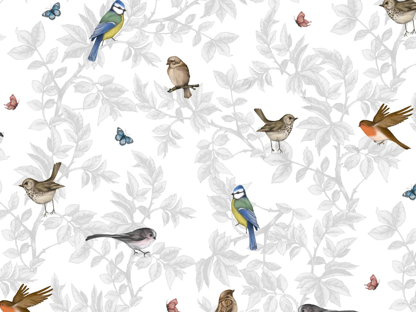 British Garden Birds