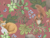 British Wildlife - Blush