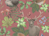 British Wildlife - Blush