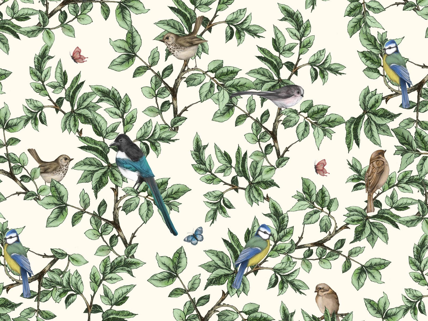 British Birds - Neutral