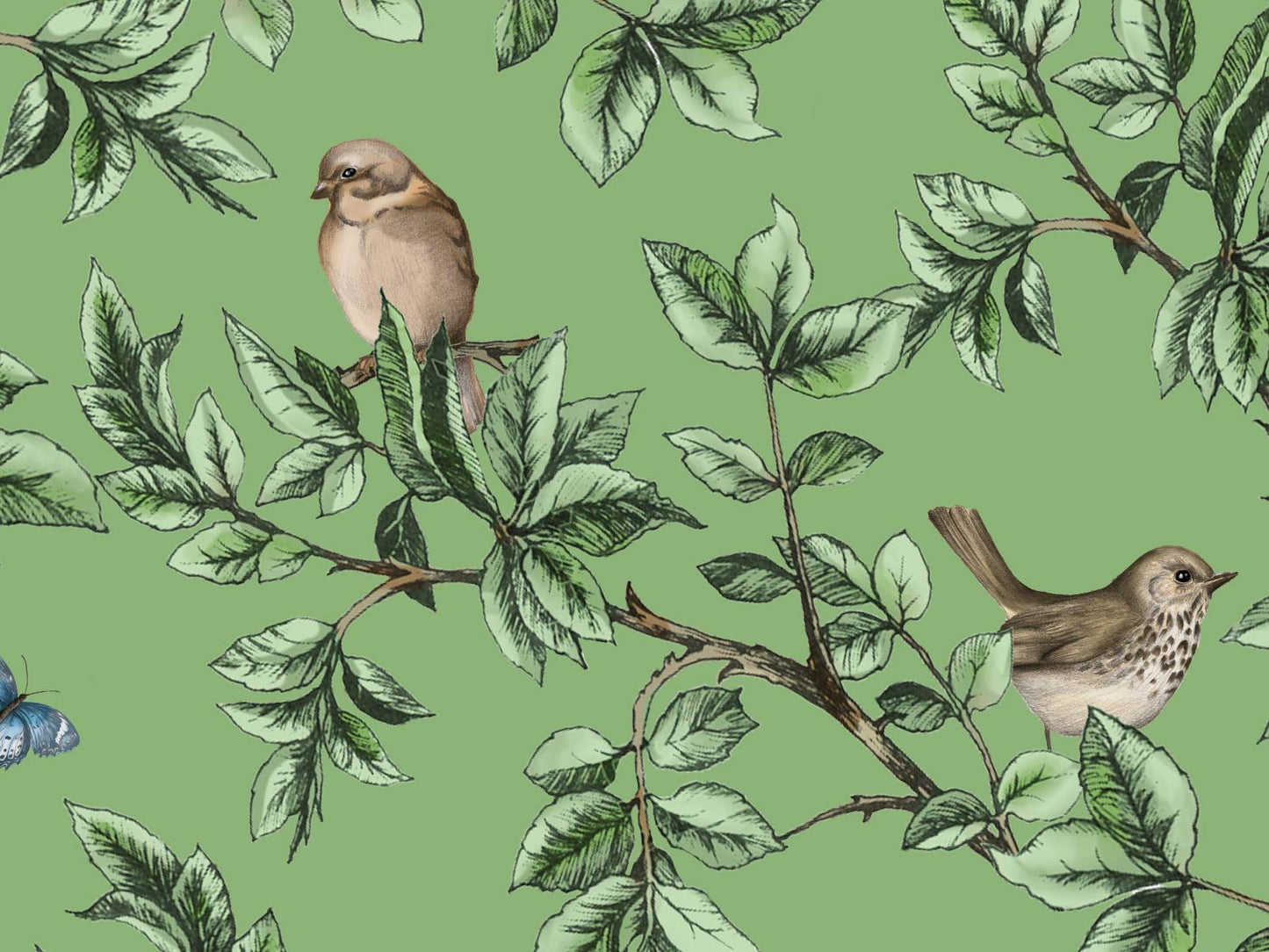 British Birds - Green