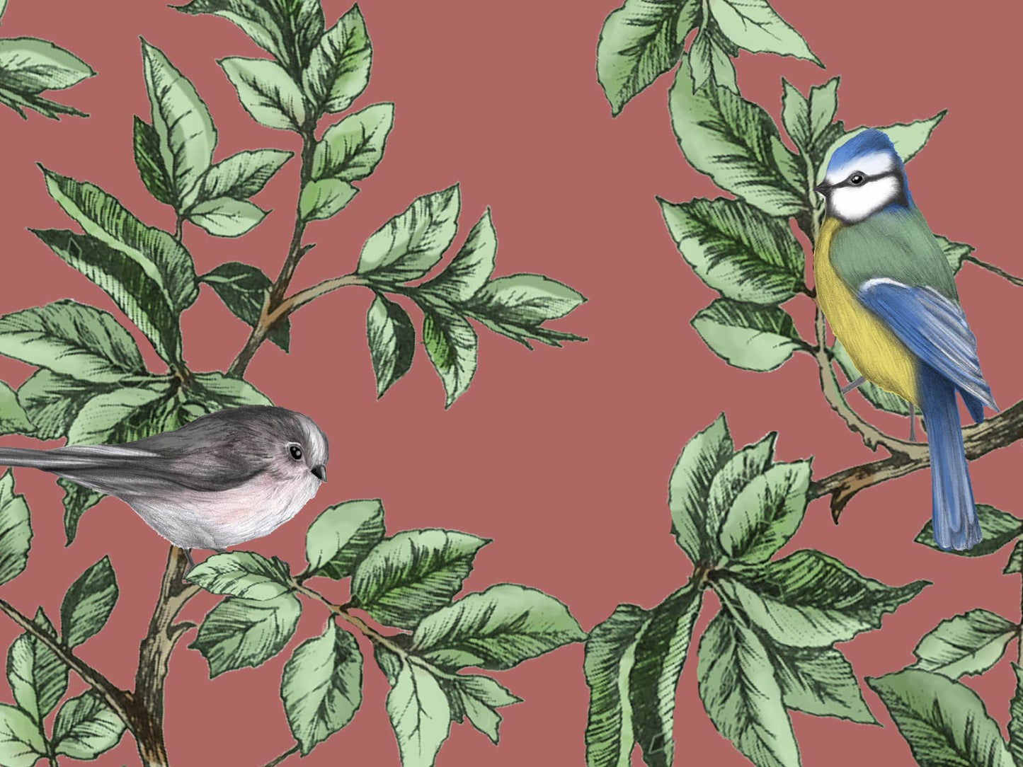 British Birds - Blush