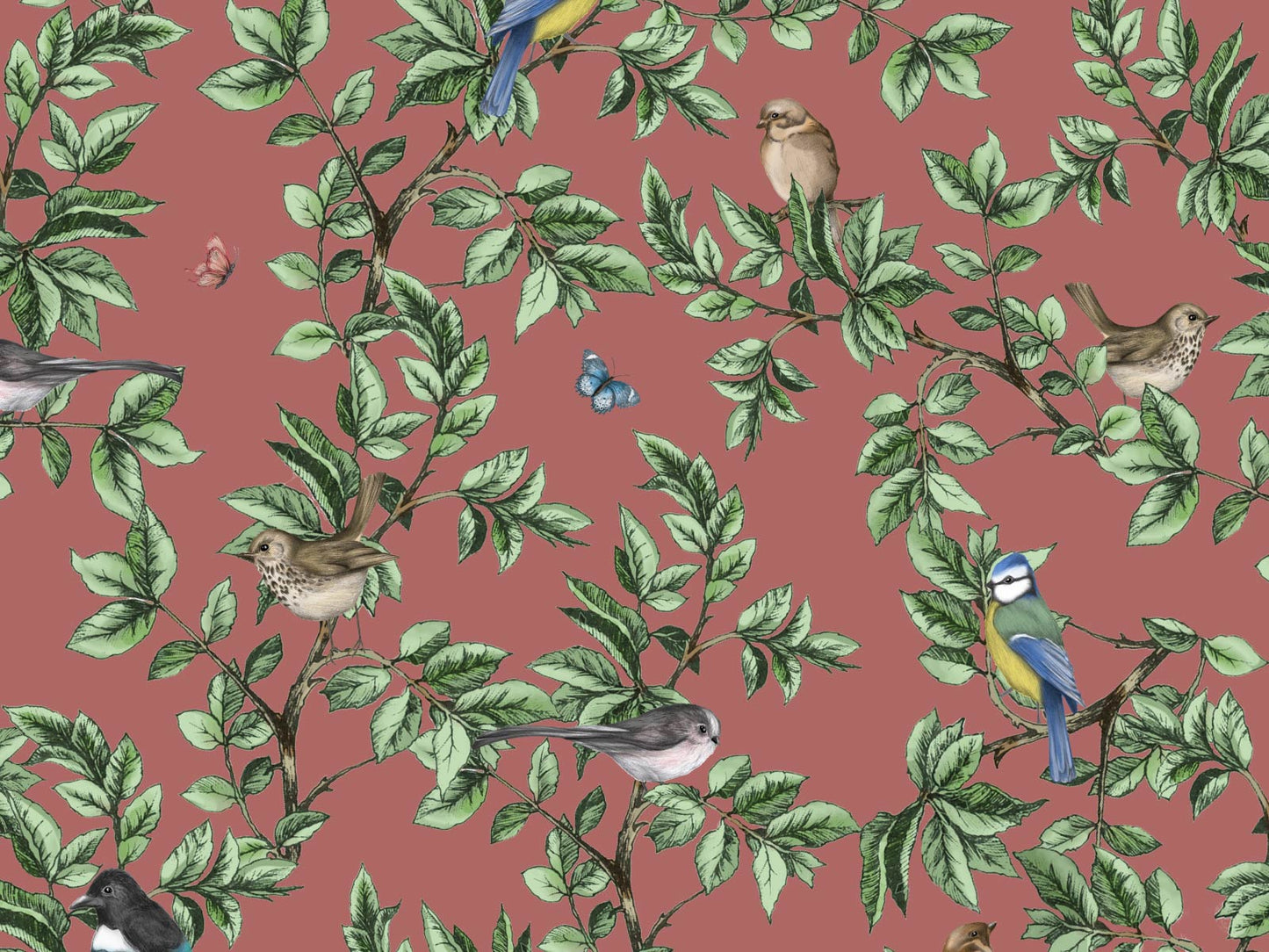 British Birds - Blush