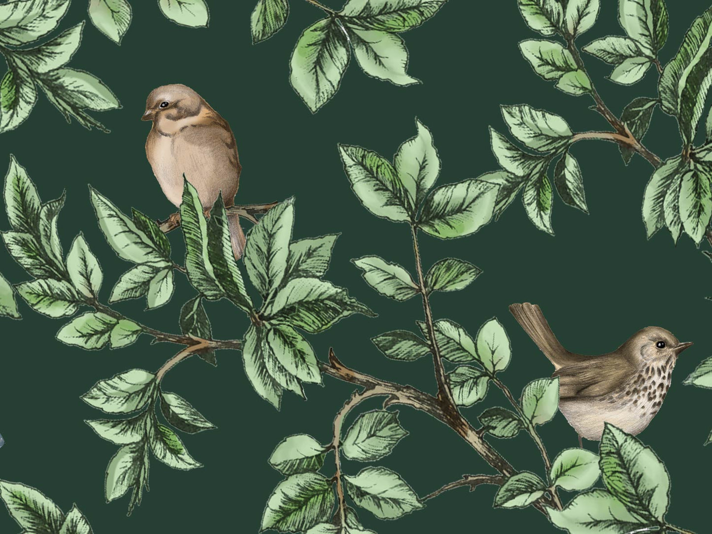 British Birds - Dark Green