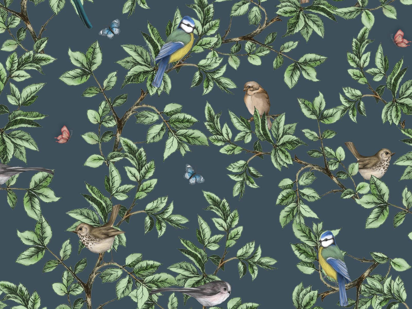 British Birds - Navy