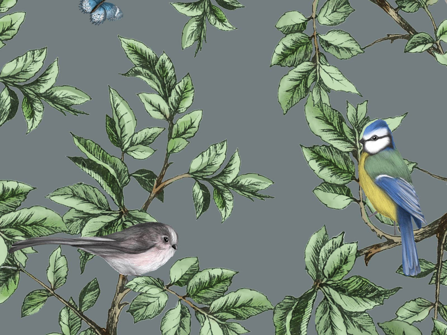 British Birds - Grey