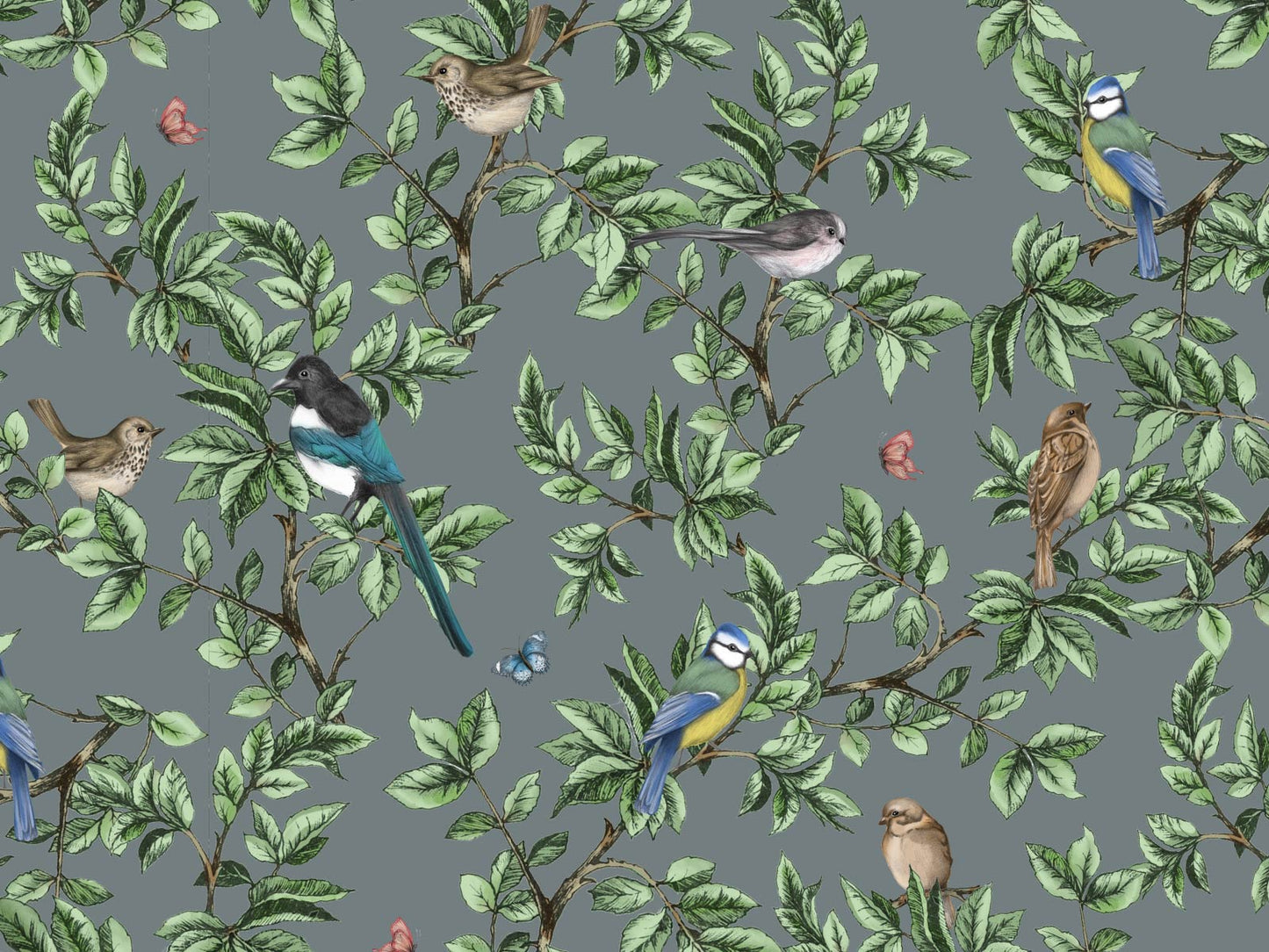 British Birds - Grey