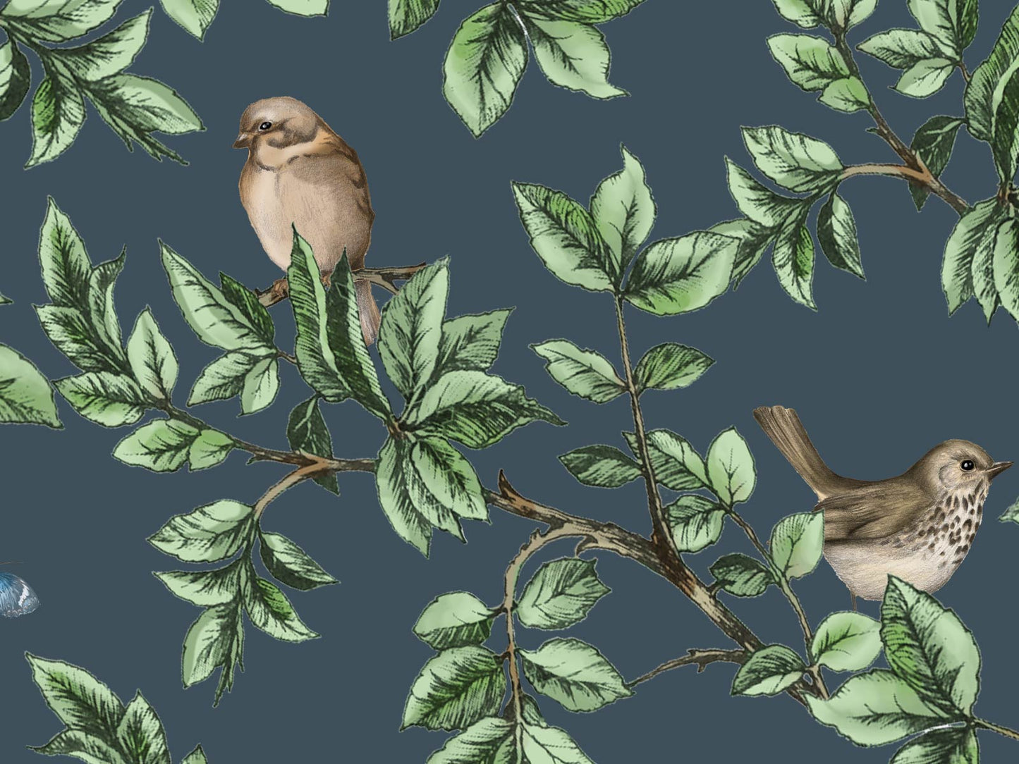 British Birds - Navy