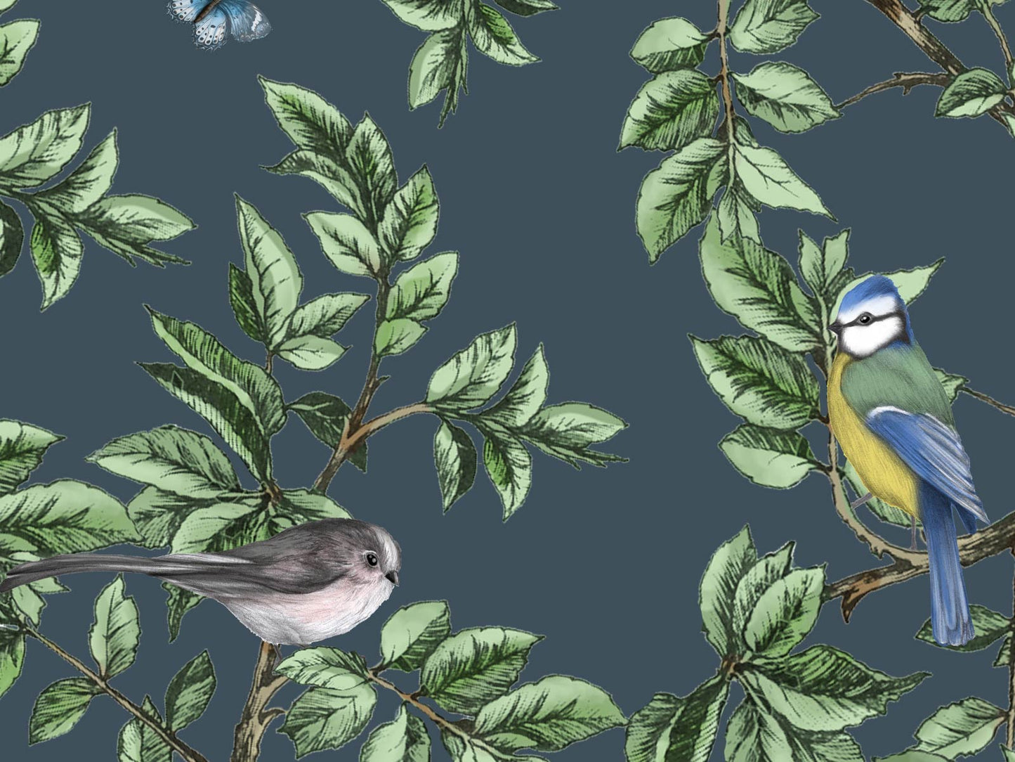 British Birds - Navy