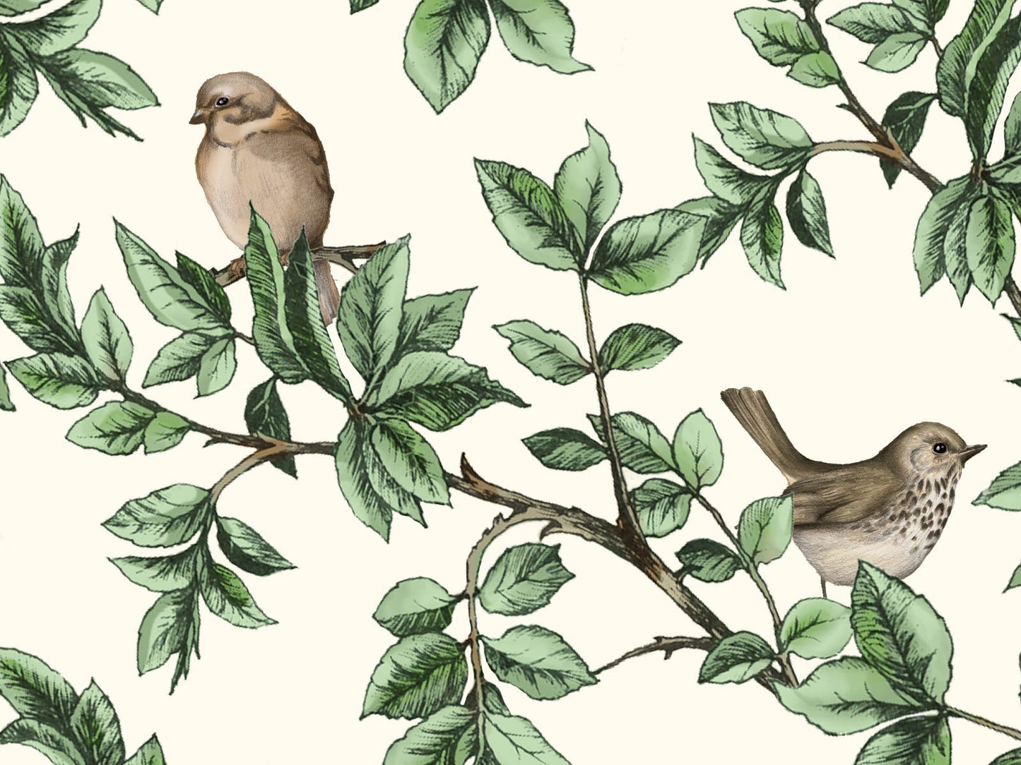 British Birds - Neutral