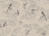 British Birdwatch - Blush