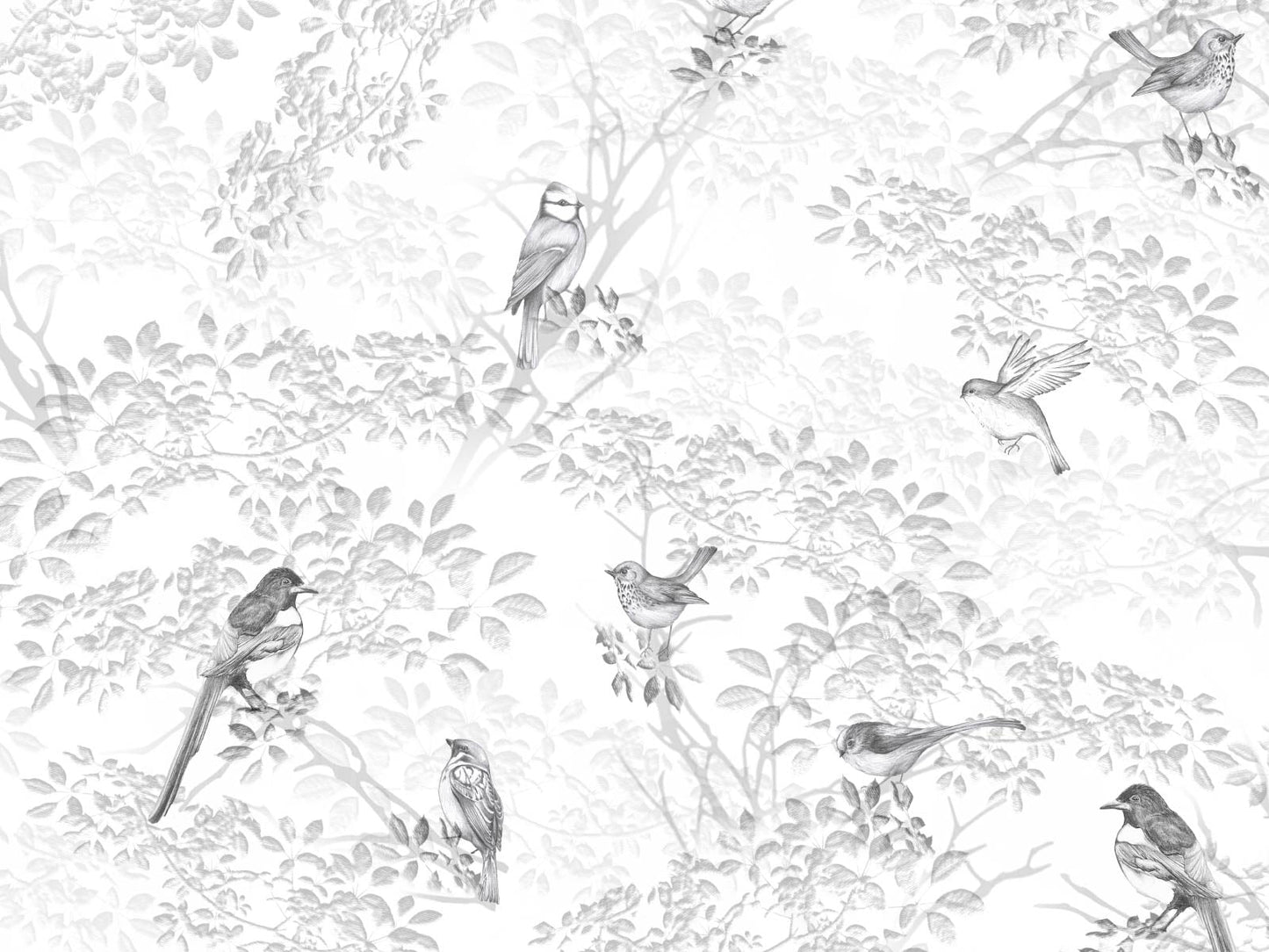 British Birdwatch - Neutral