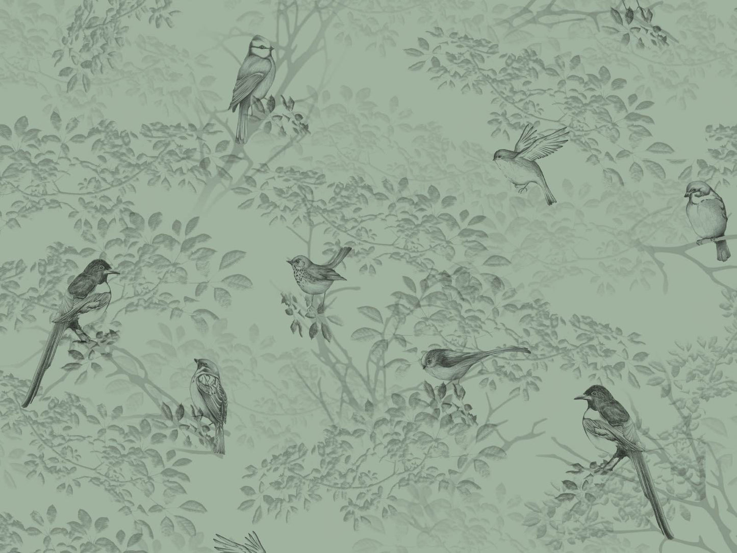 British Birdwatch - Sage