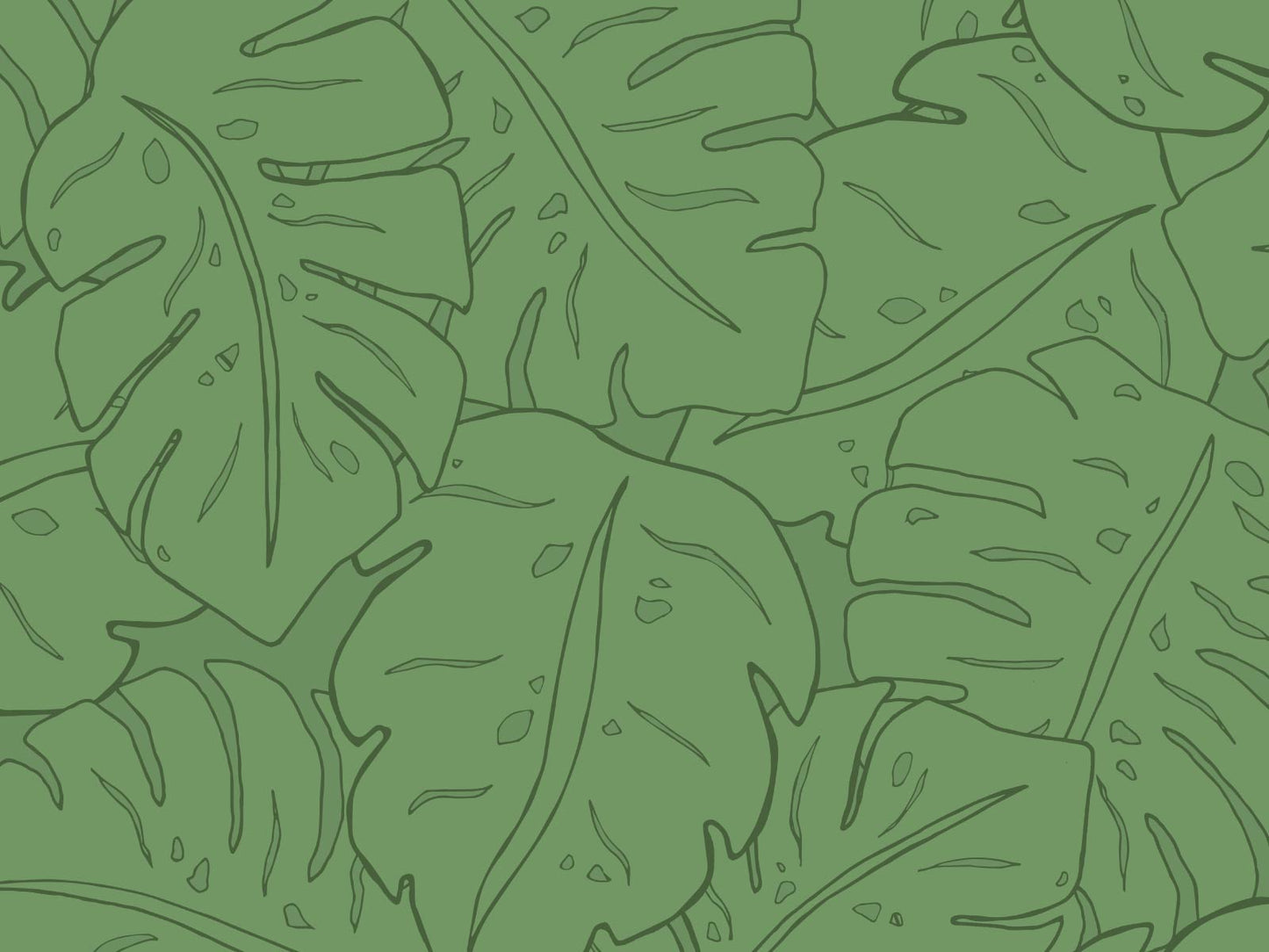 Cheese Plant - Green