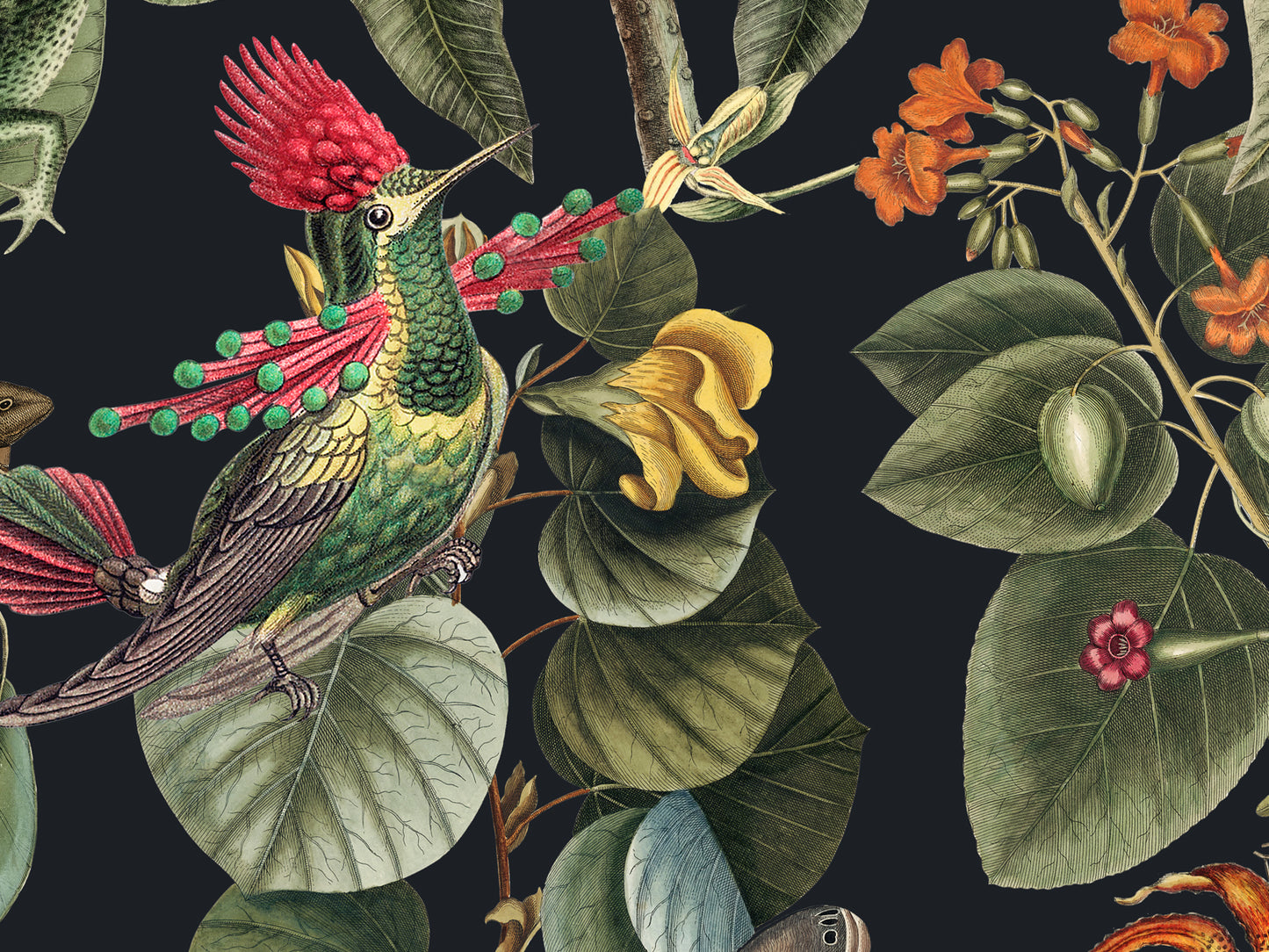 Exotic Rainforest