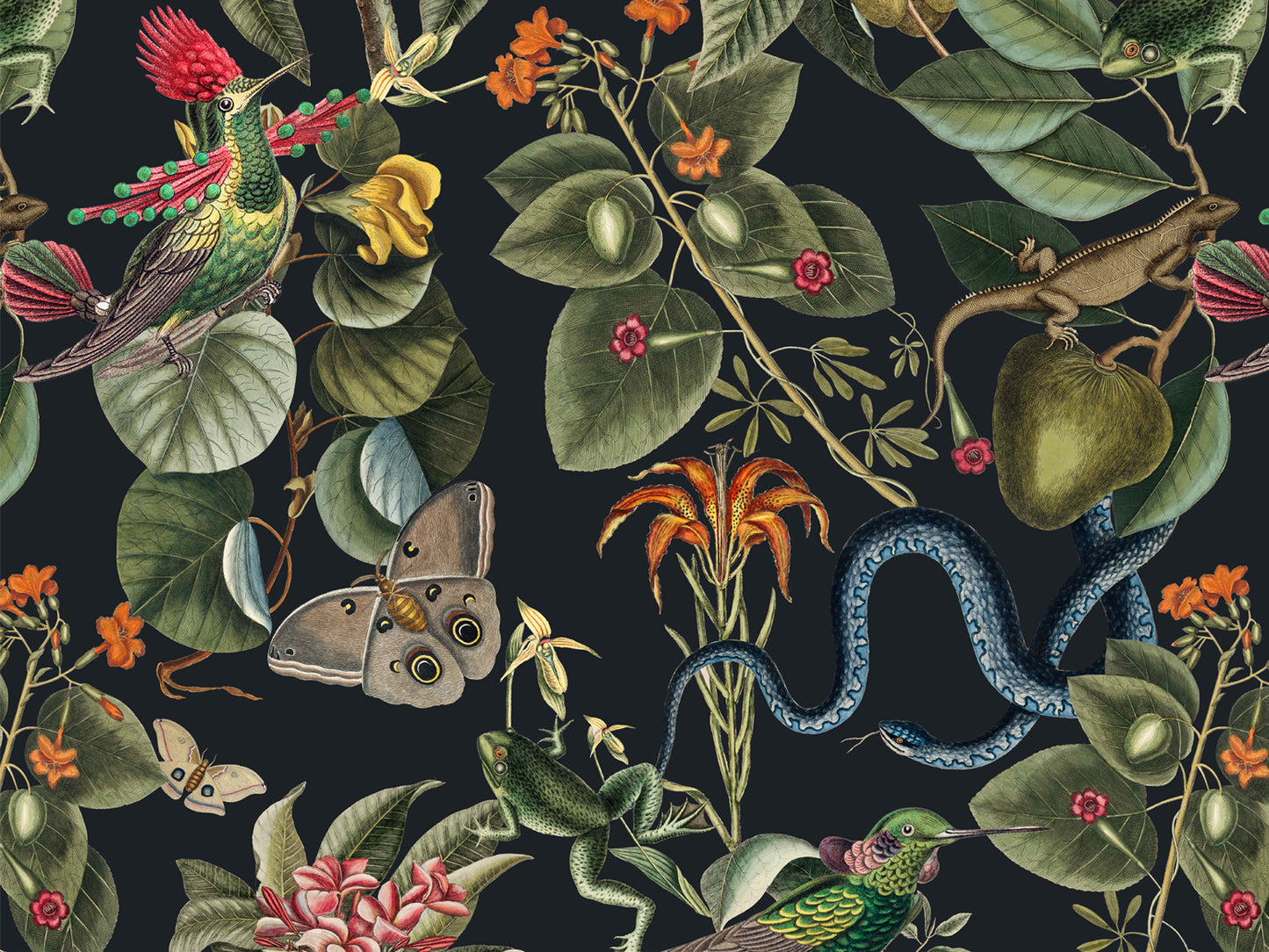 Exotic Rainforest