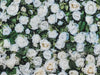 Flower Wall - Whites