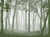 Forest Wall - Green