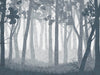 Forest Wall - Navy