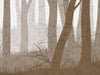 Forest Wall - Sepia