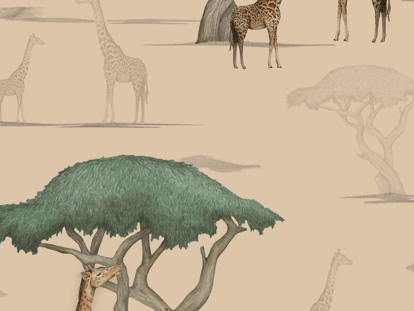 Giraffe and Savanna - Neutral