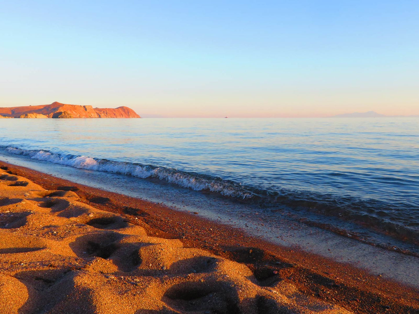 Golden Shoreline