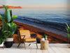 Golden Shoreline