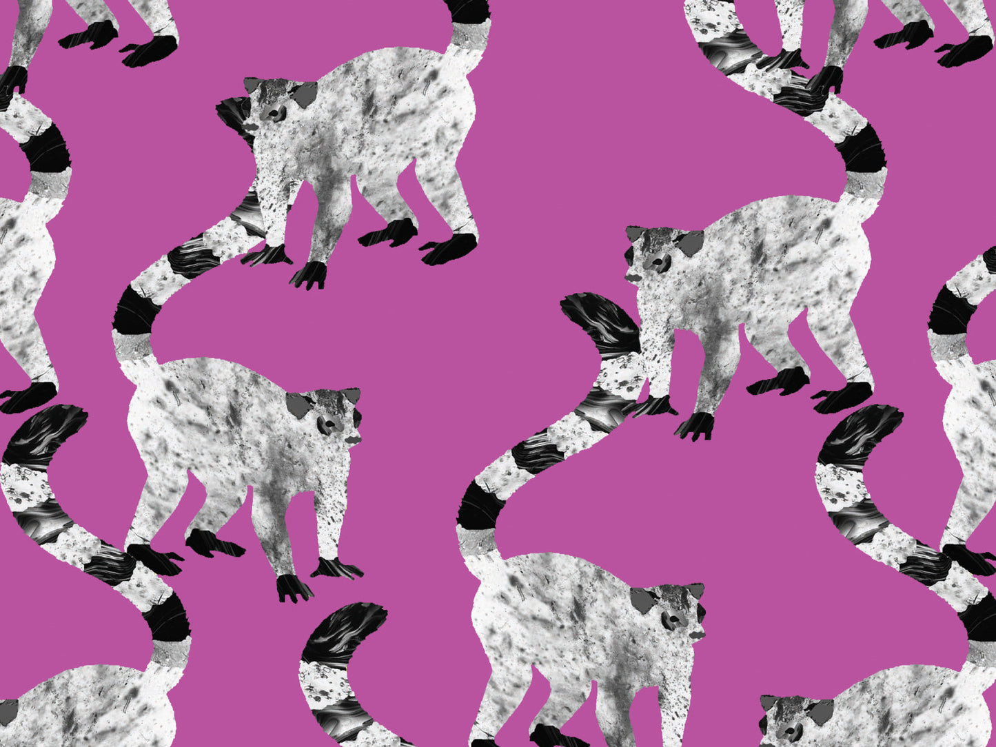 Lovely Limas - Pink