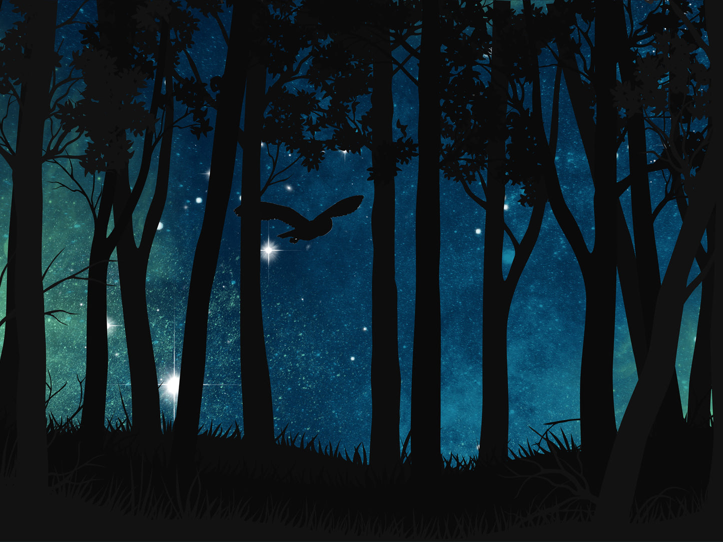 Nocturnal Forest Owl - Blue