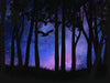 Nocturnal Forest Owl - Pink