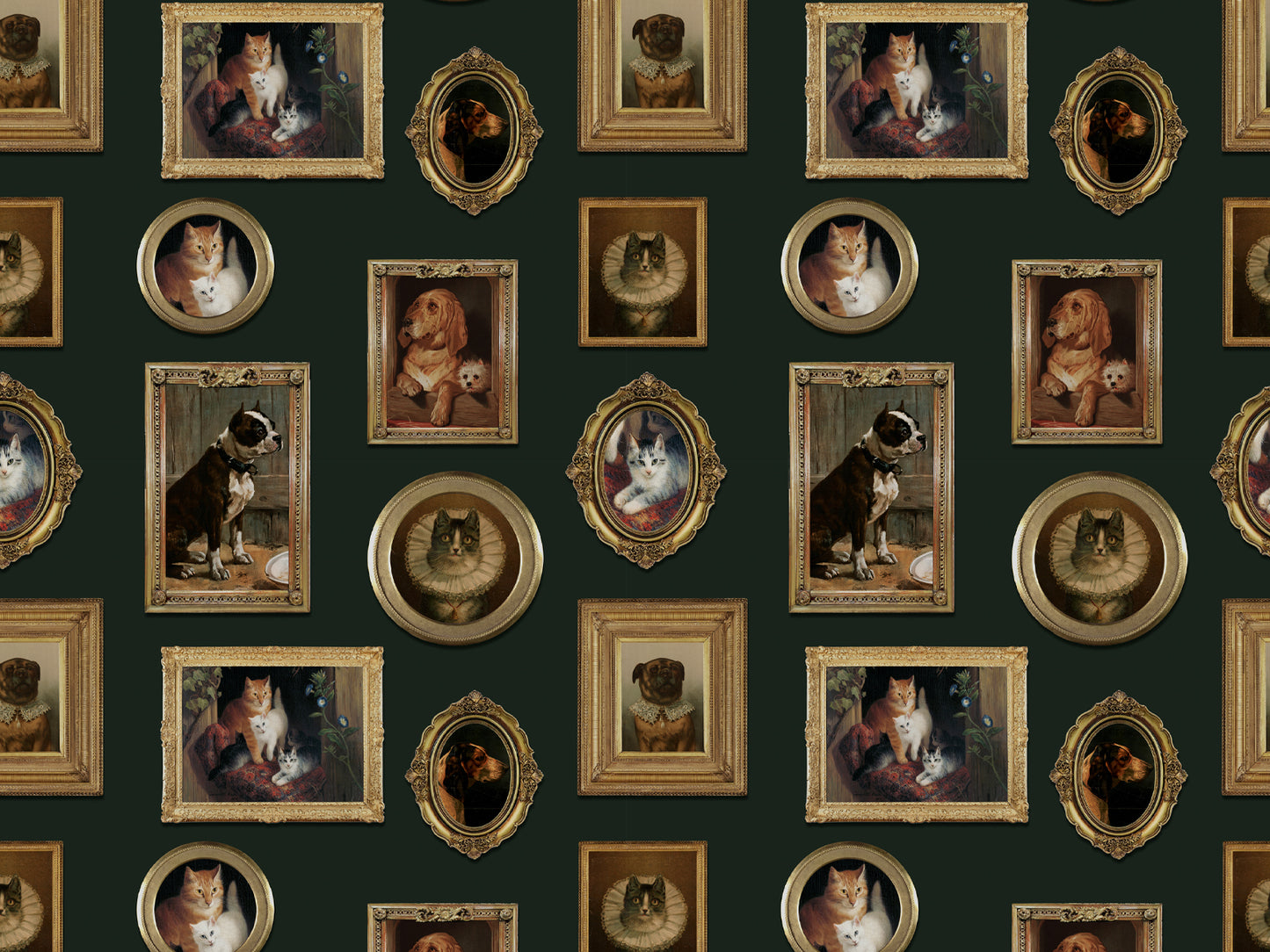 Pet Portraits