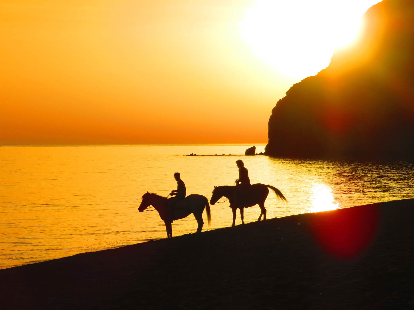 Scala Horses