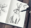Standard Sketched Motif