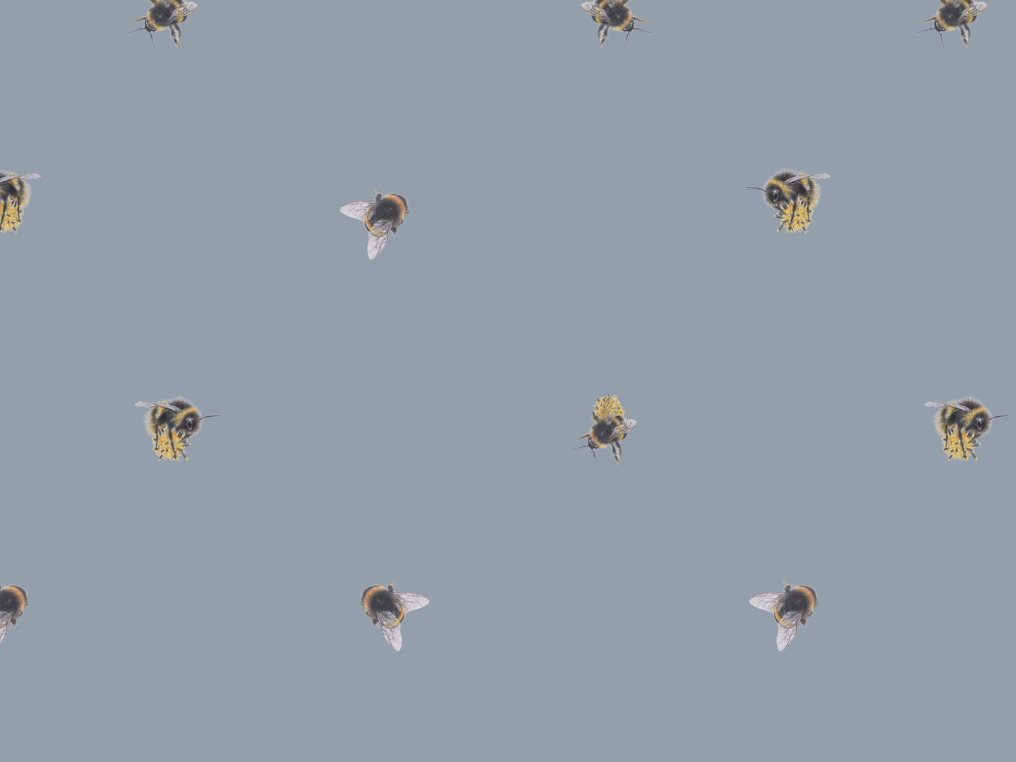 The Bees Knees - Blue