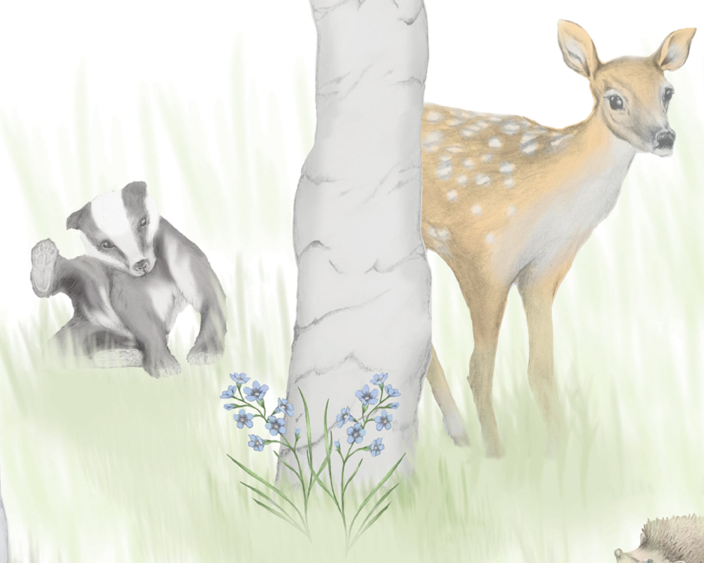 Woodland Adventure