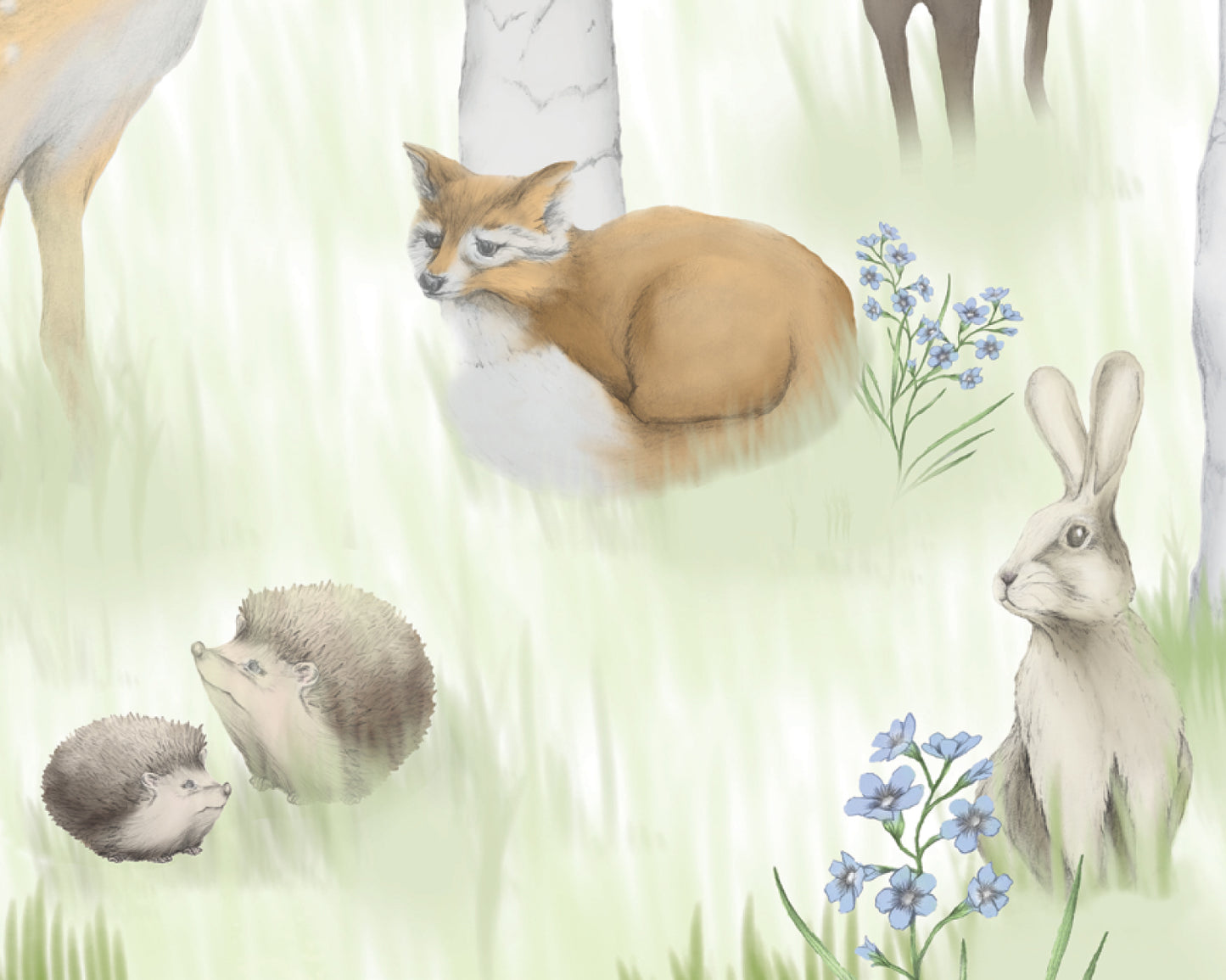 Woodland Adventure