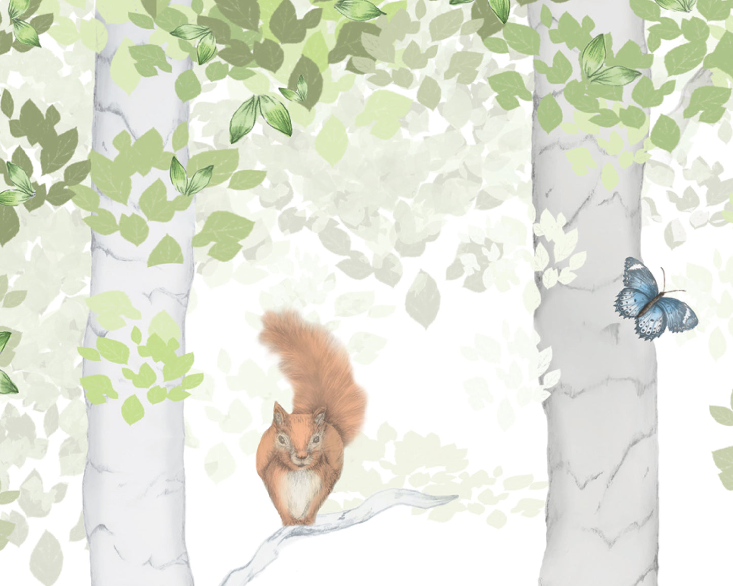 Woodland Adventure