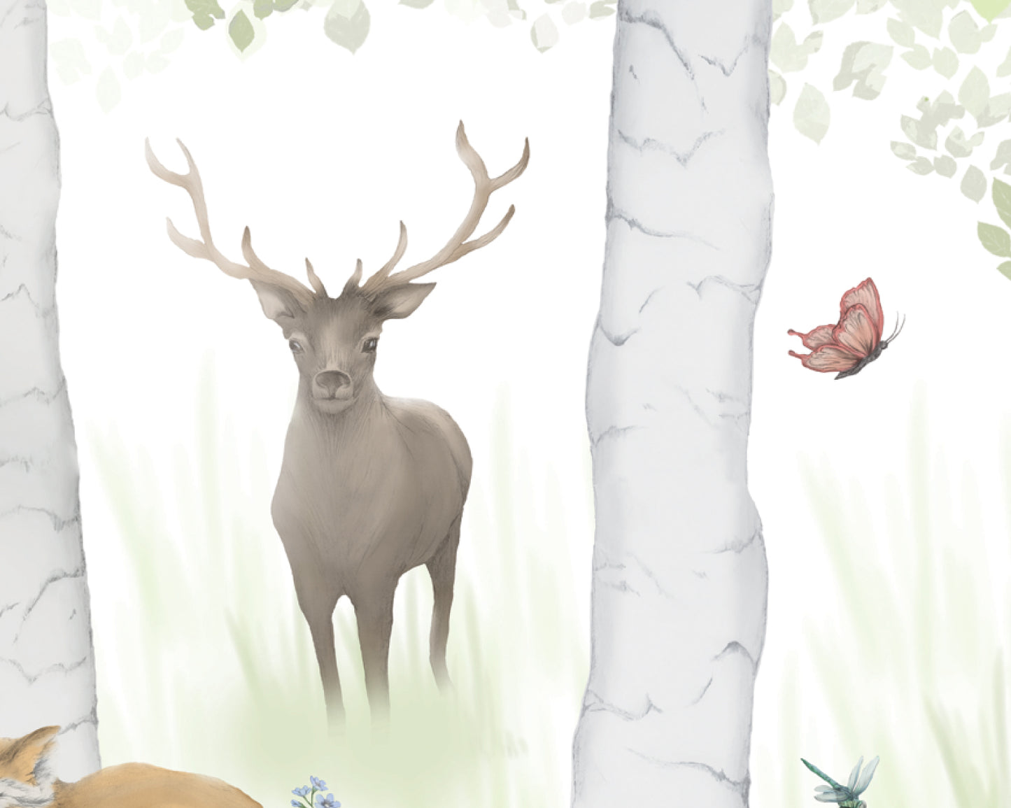 Woodland Adventure