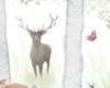Woodland Adventure