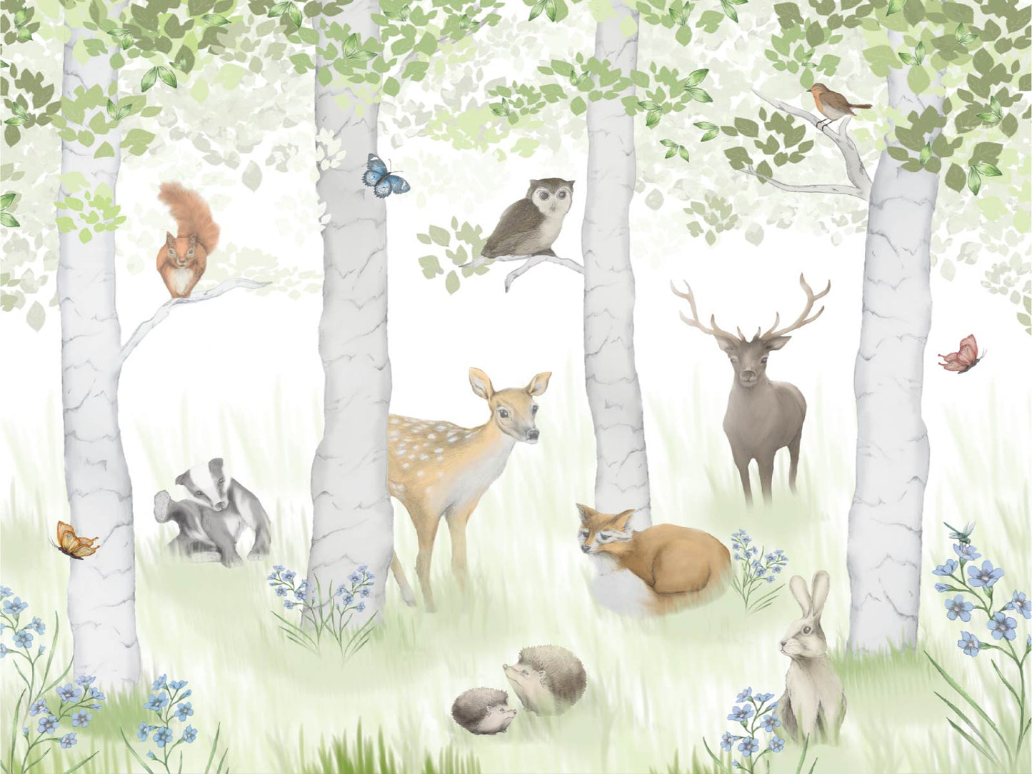 Woodland Adventure