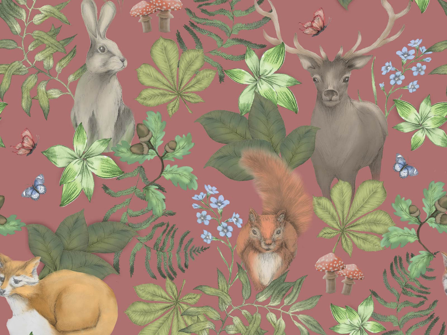 British Wildlife - Blush