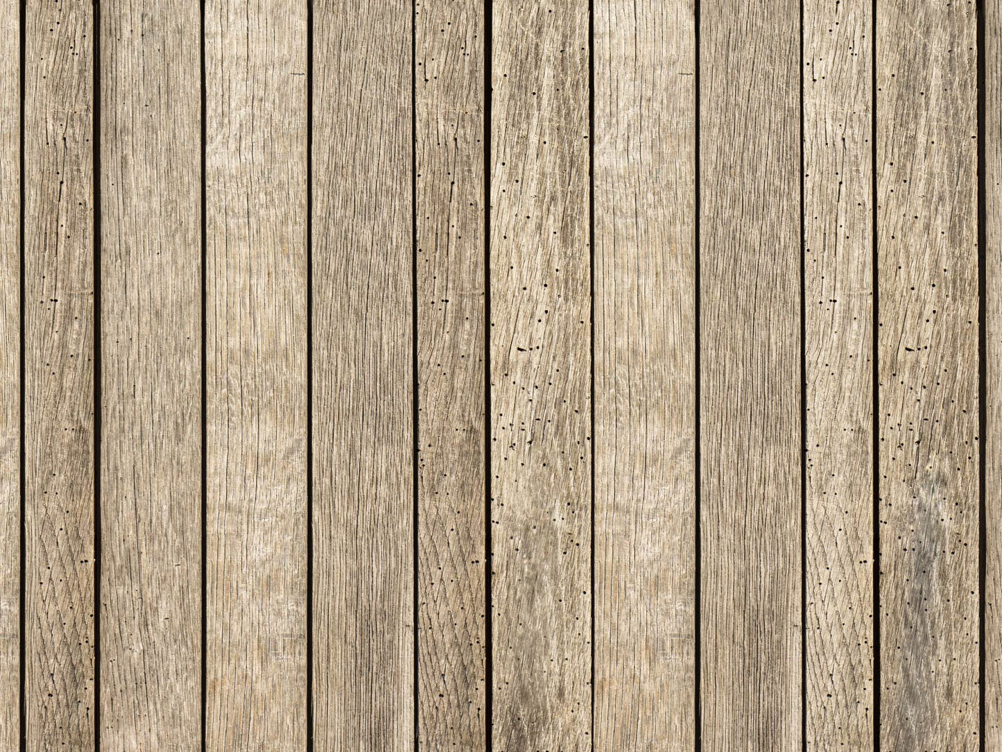 Wood Panel Neutral