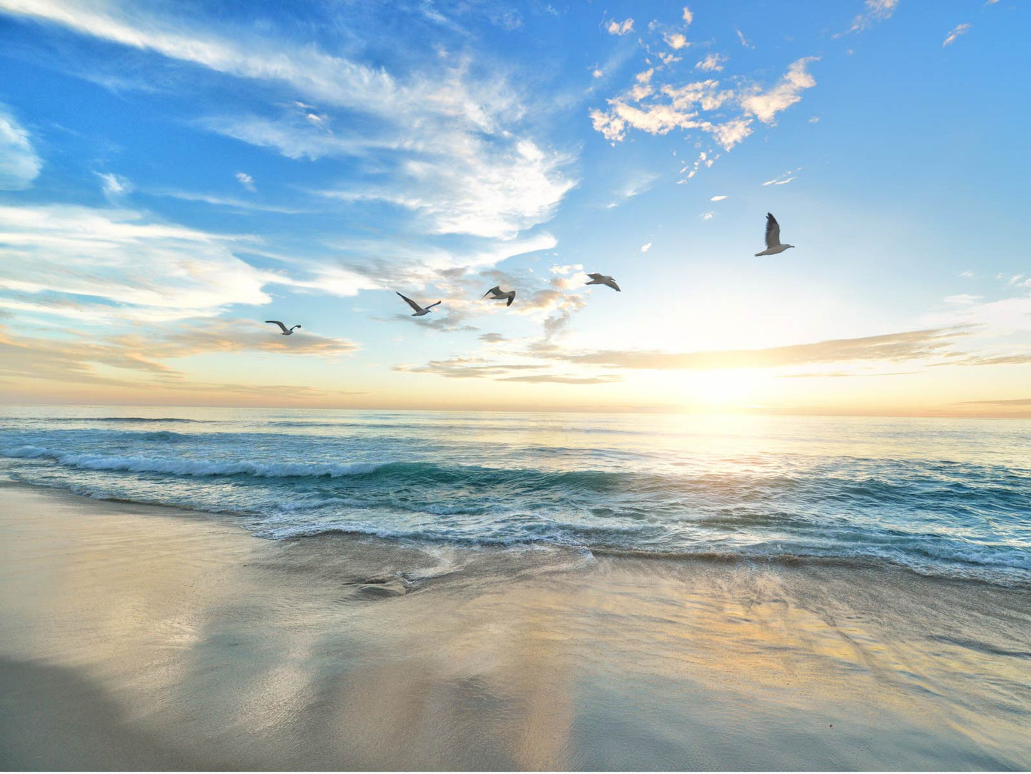 Birds in Flight