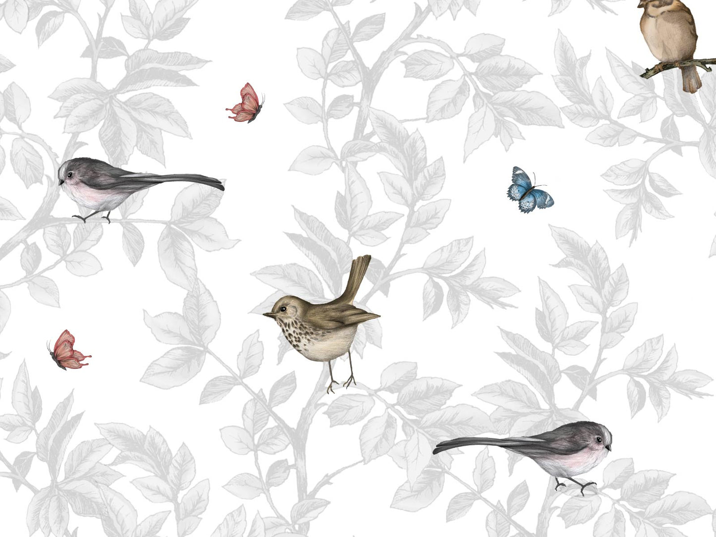 British Garden Birds