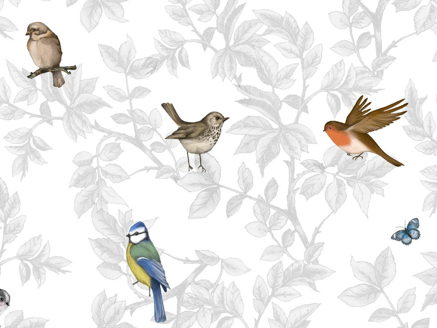 British Garden Birds