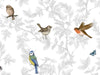 British Garden Birds