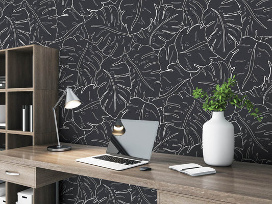 Cheese Plant - Black