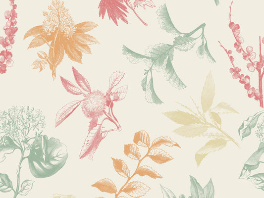 In Bloom - Neutral