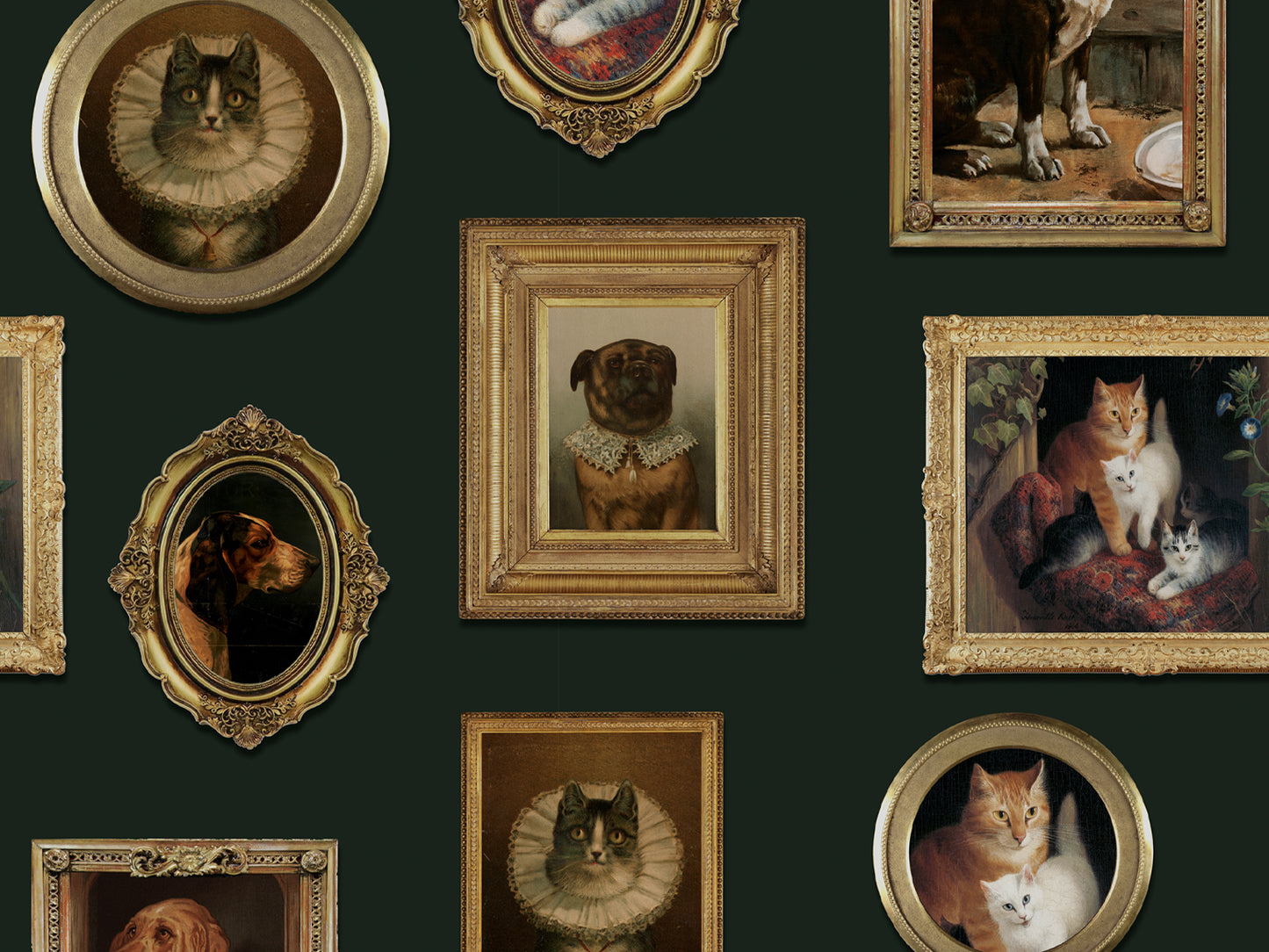Pet Portraits