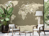 Political World Map No 3